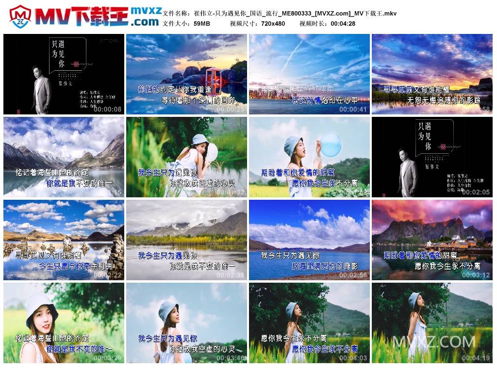 崔伟立-只为遇见你_国语_流行_ME800333